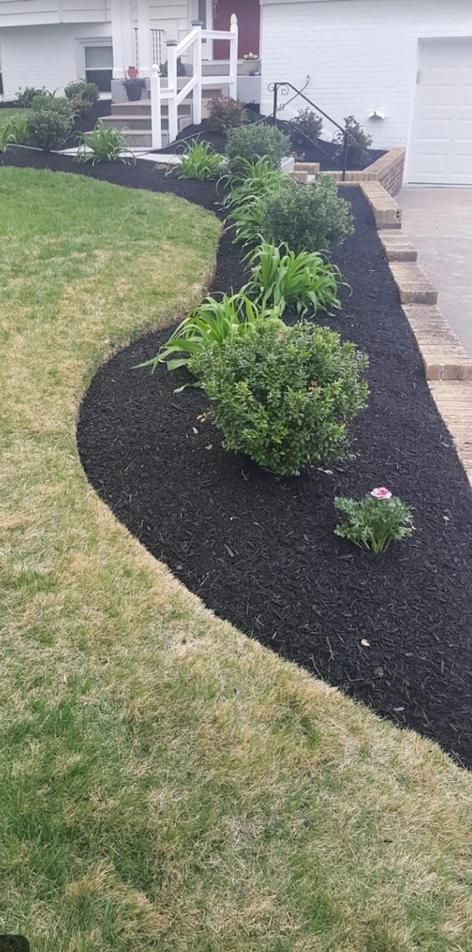 A lawn with black mulch and shrubs in front of a house.