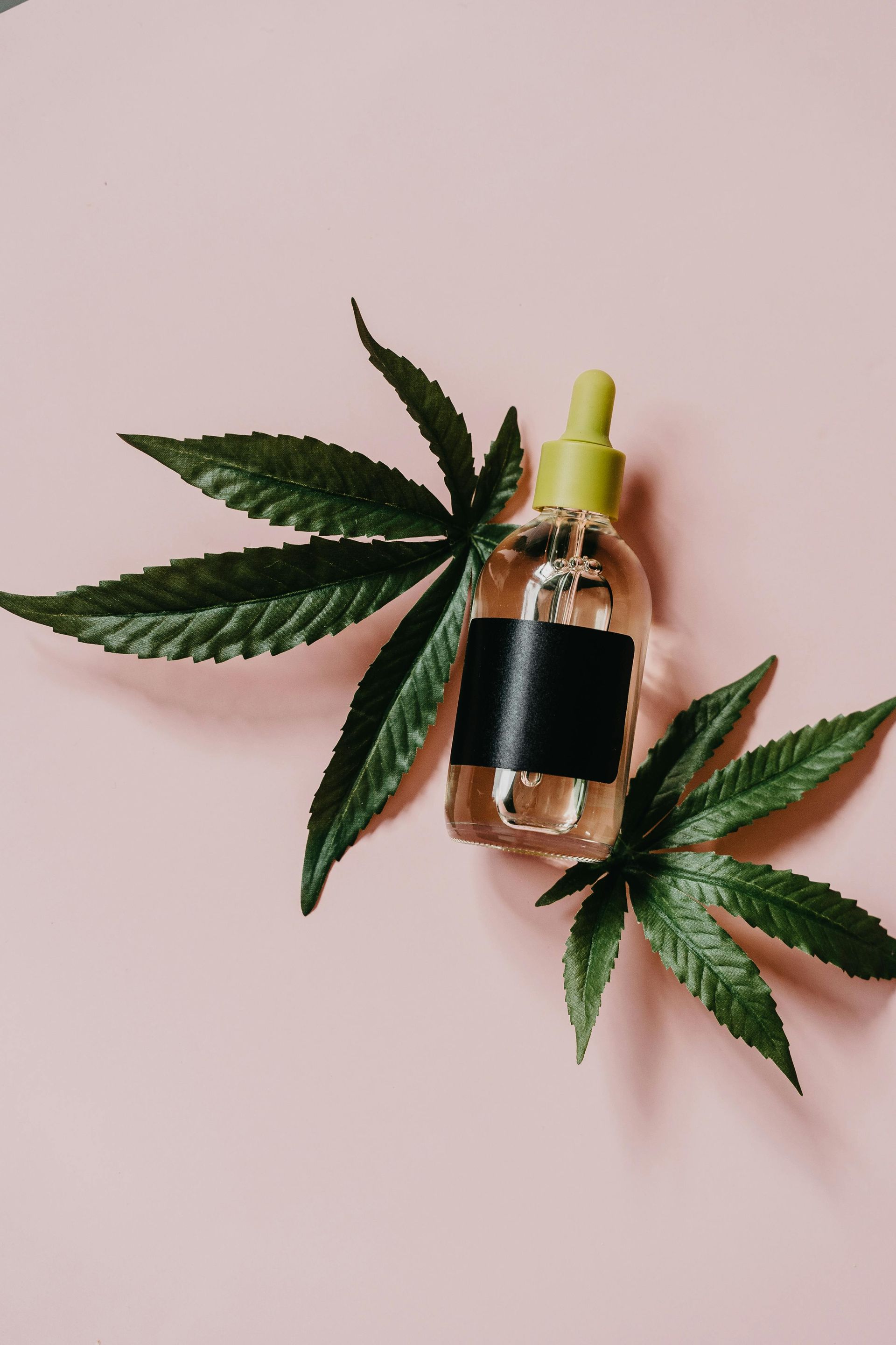 CBD Oil