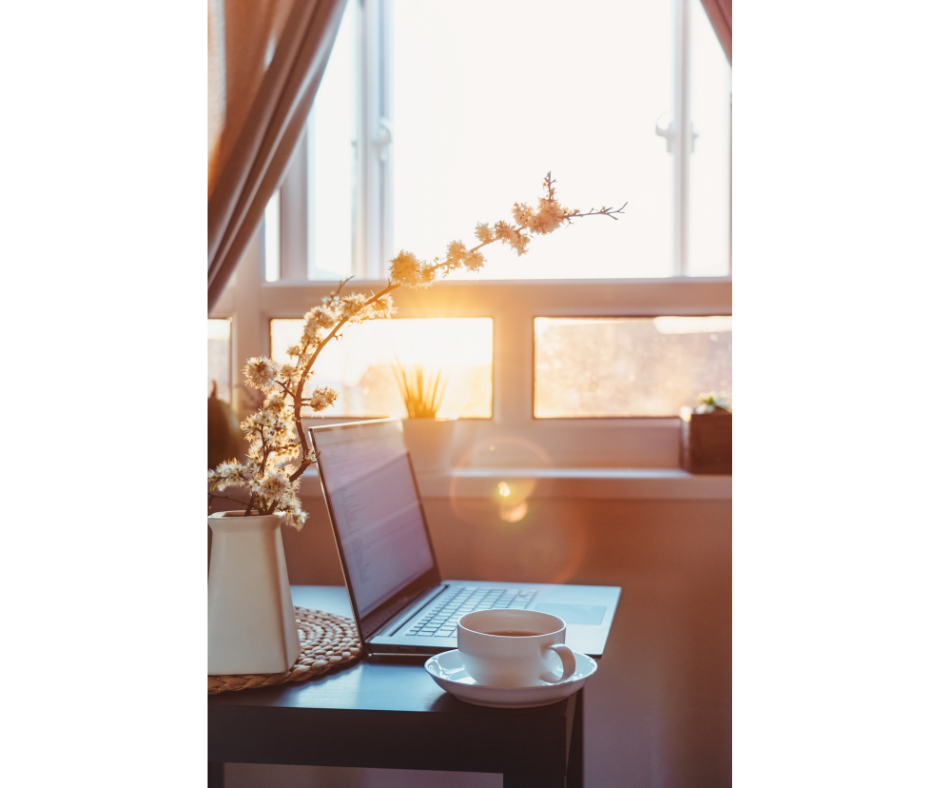 Laptop and coffee cup on a desk by a window with a flowering plant. Sunlight streams through.