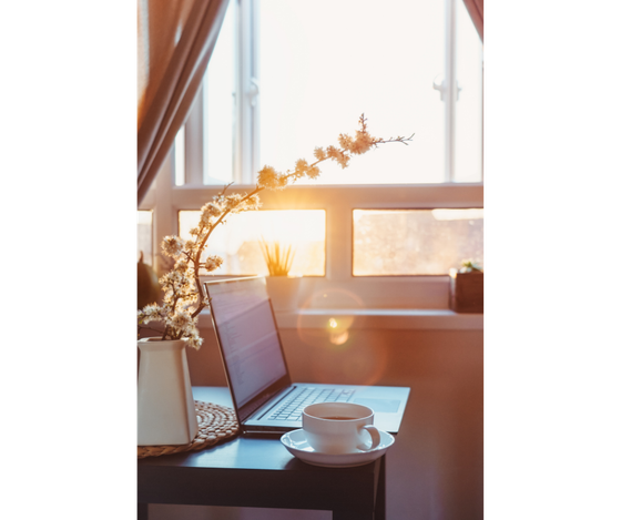 Laptop and coffee cup on a desk by a window with a flowering plant. Sunlight streams through.