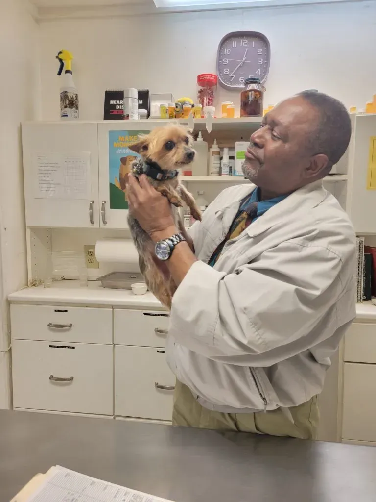 Veterinarian Holding a Dog — College Park, GA — Red Oak Animal Hospital
