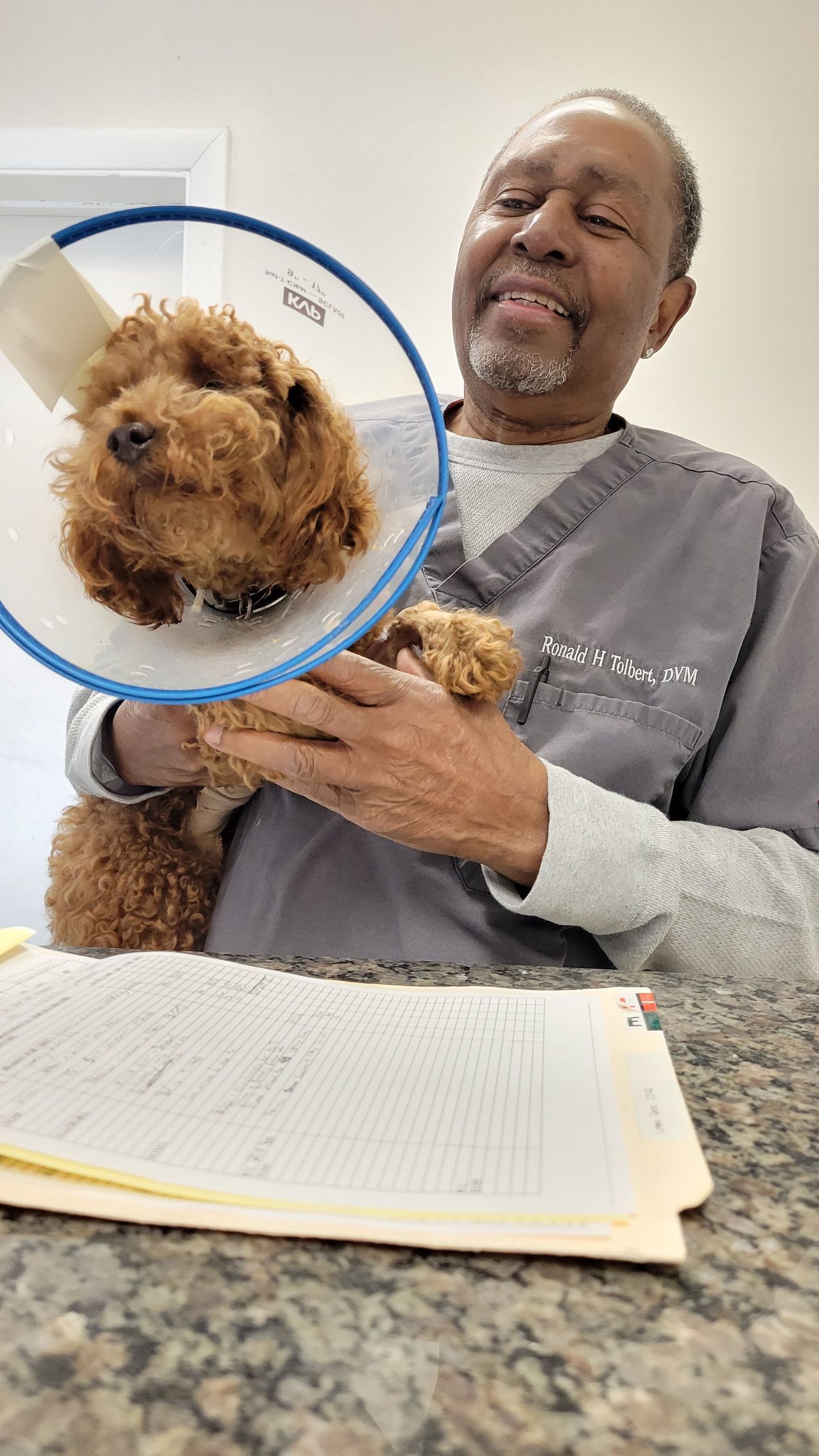 A person in scrubs holds a small dog with a cone. They are sitting at a desk with papers.