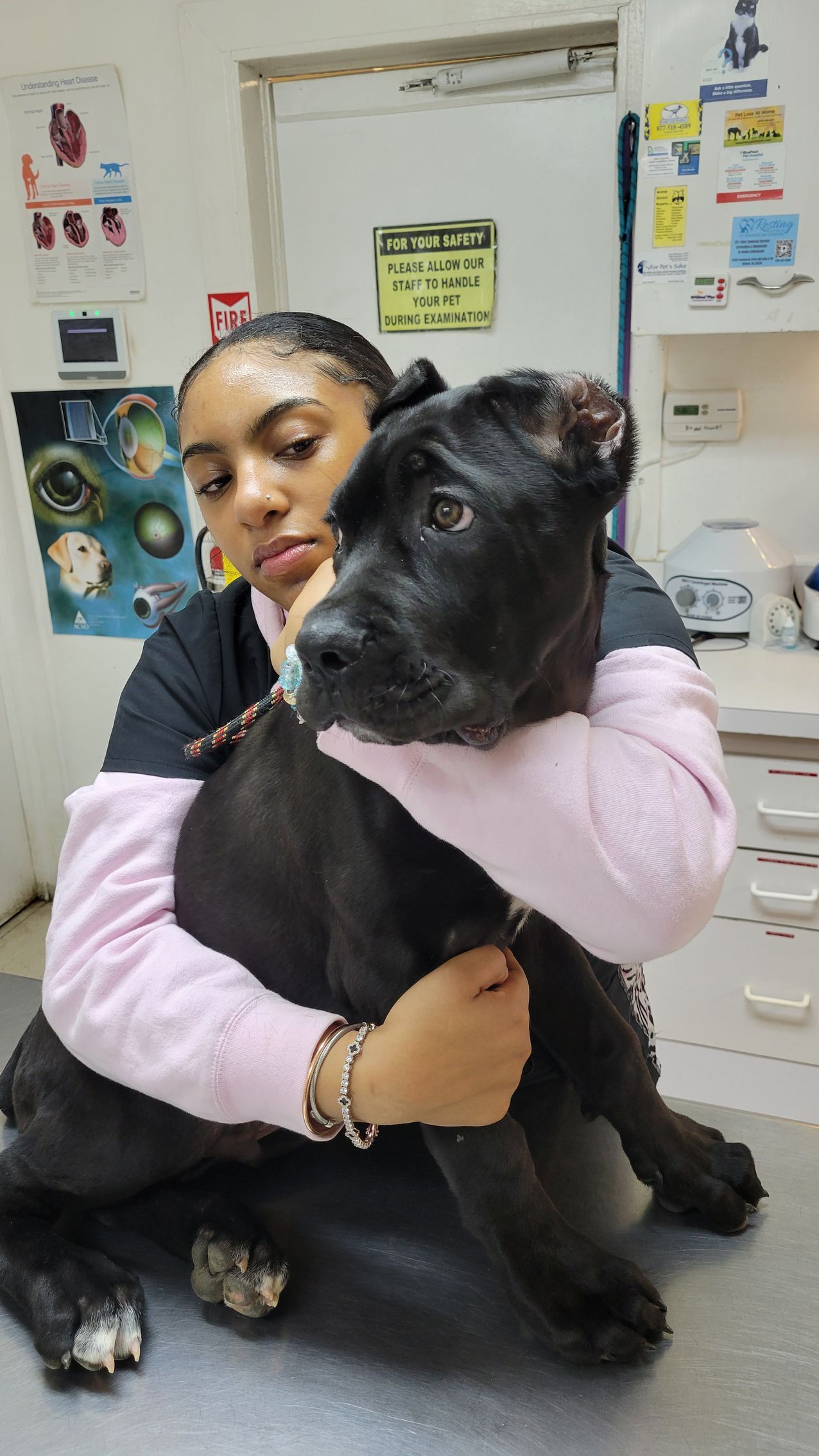 Person hugging a black dog in a veterinarian's office, dog looks apprehensive.