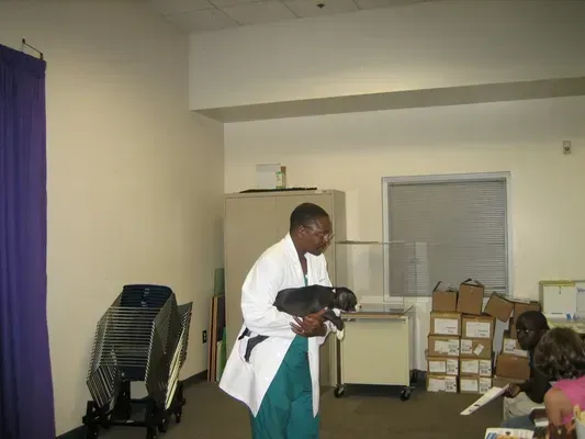 Community Pet Safety — College Park, GA — Red Oak Animal Hospital