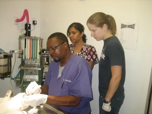 Respiratory Therapists Class — College Park, GA — Red Oak Animal Hospital