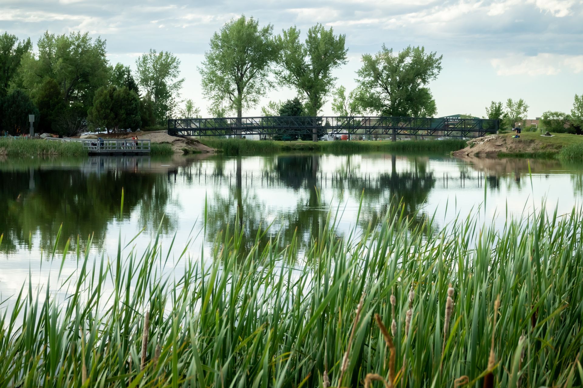A bridge over a lake with tall grass in the foreground