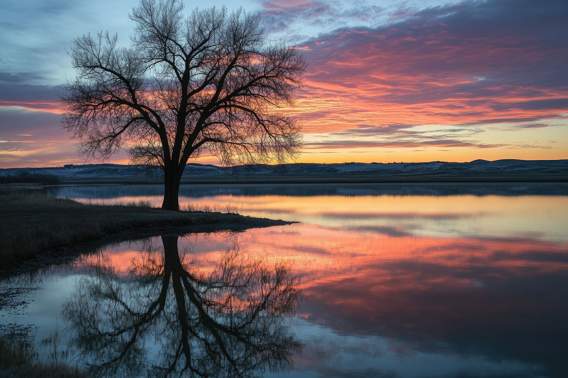 A tree is standing in the middle of a lake at sunset.