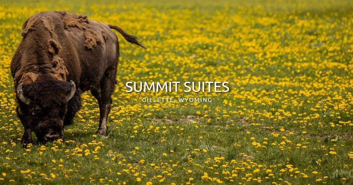 The Best Attractions near Gillette, WY - Summit Suites