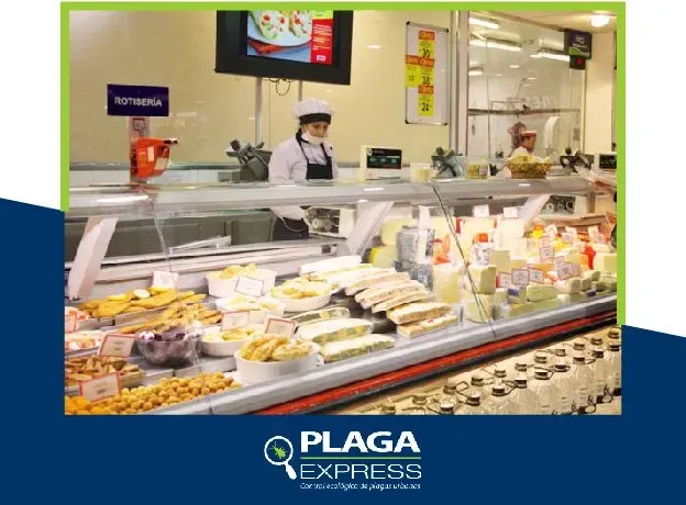 Plaga express