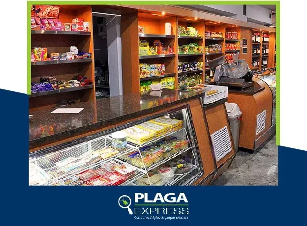 Plaga express