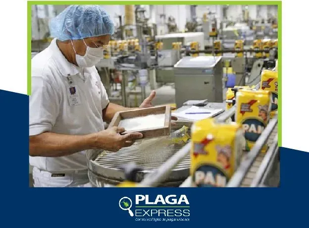 Plaga express