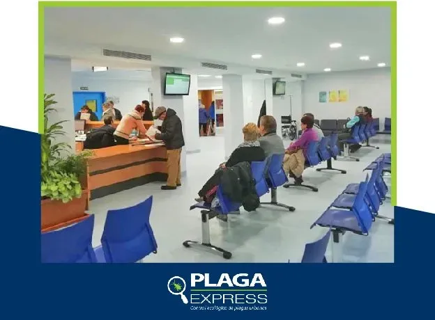 Plaga express