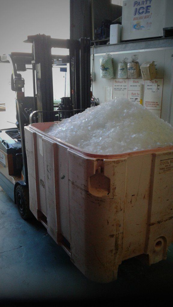 ice supplier gold coast