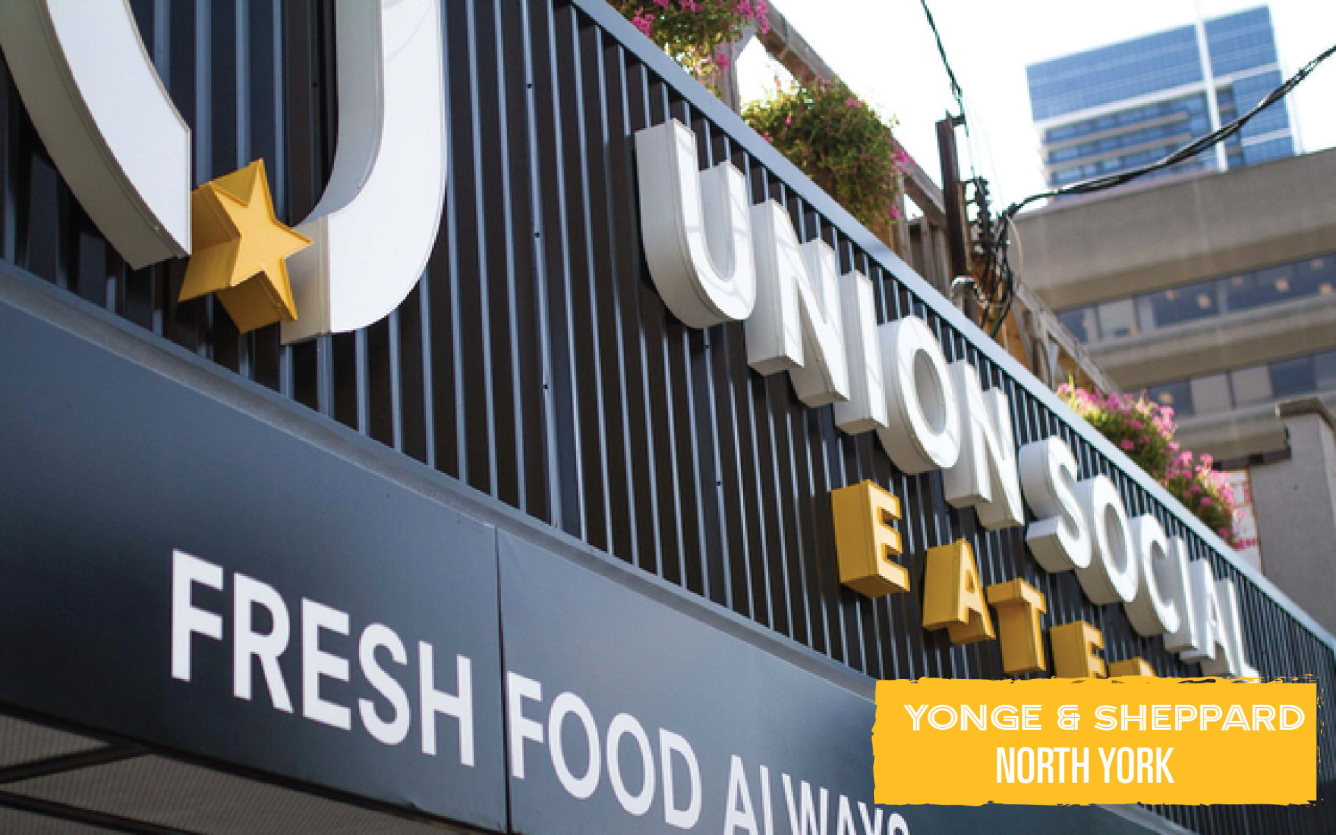Image of union social yonge and sheppard