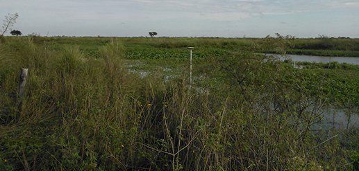 P & P Agrimensura, proyectos