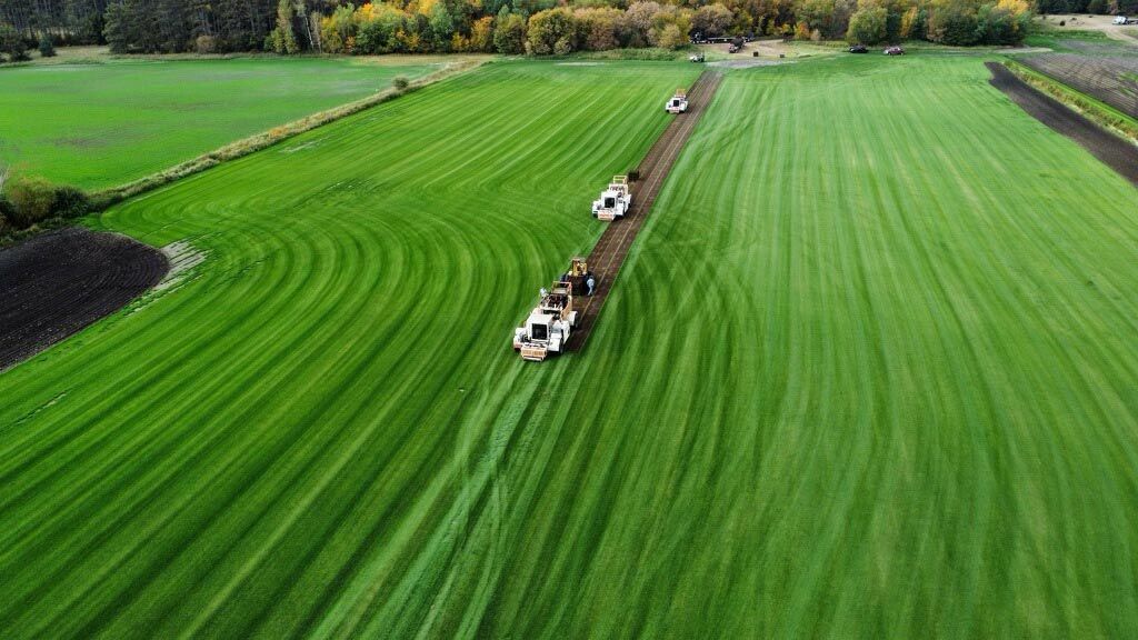 Aerial View of Big Yard Sod Installation — East Bethel, MN — Hoffman Bros Sod