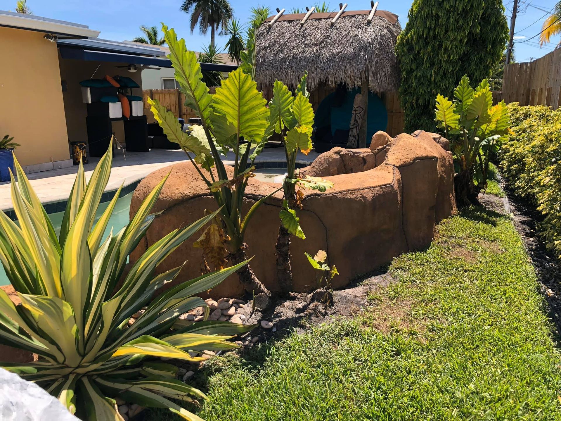 Tropical backyard with a tiki hut, plants, and a rock feature near a pool.