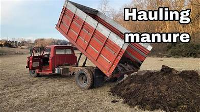 Green sprout emerging from brown soil.