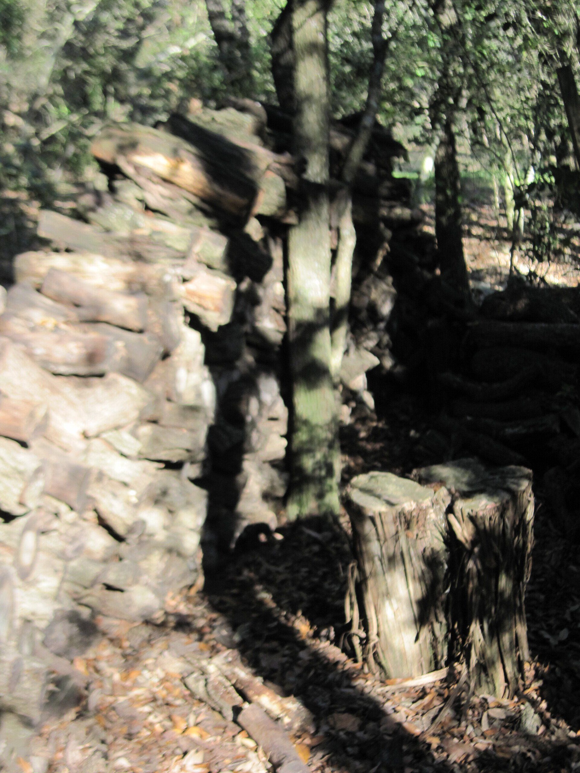 shadows on firewood and woods suggest unknown future