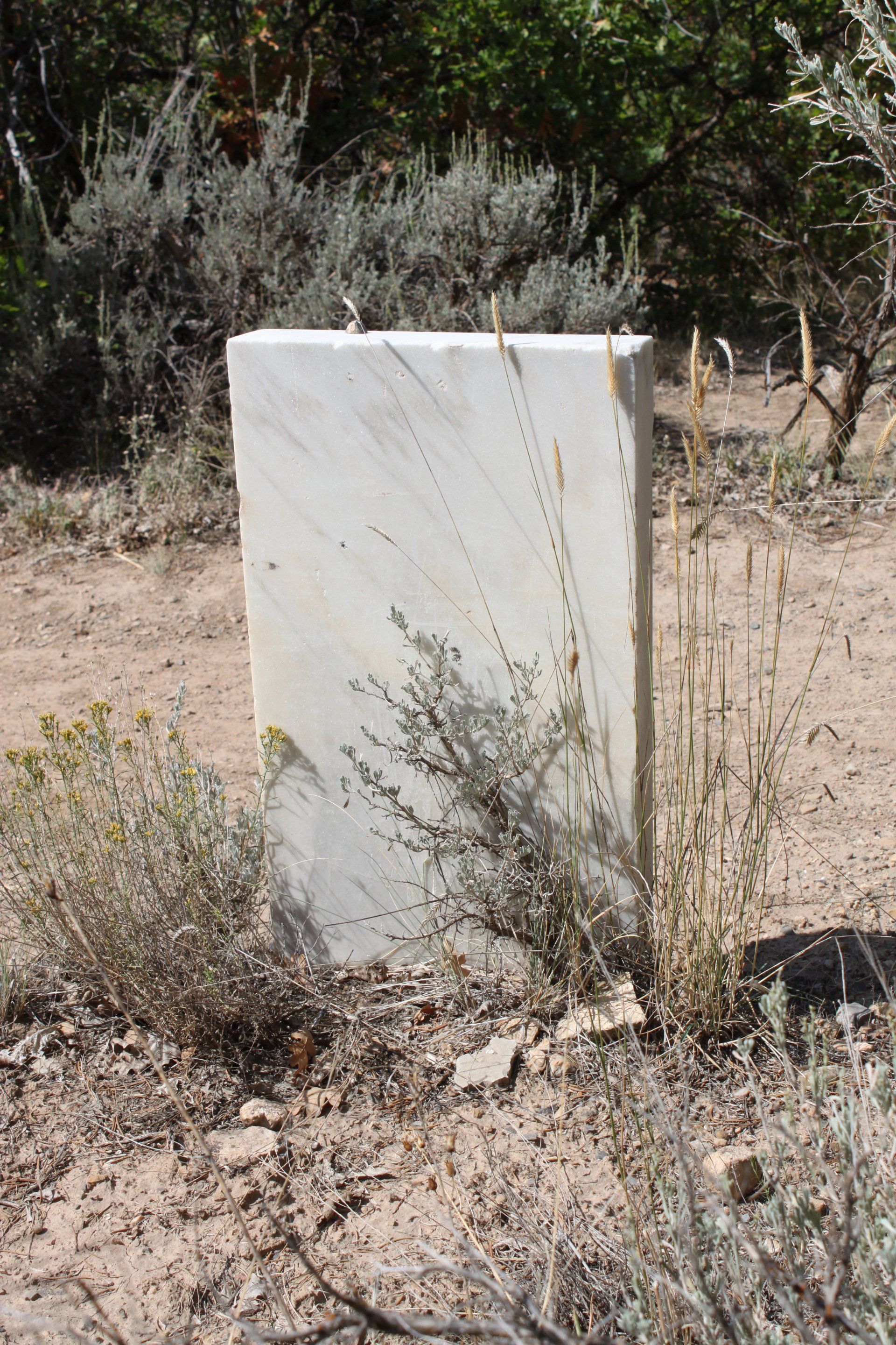 white simple gravestone in barren setting death