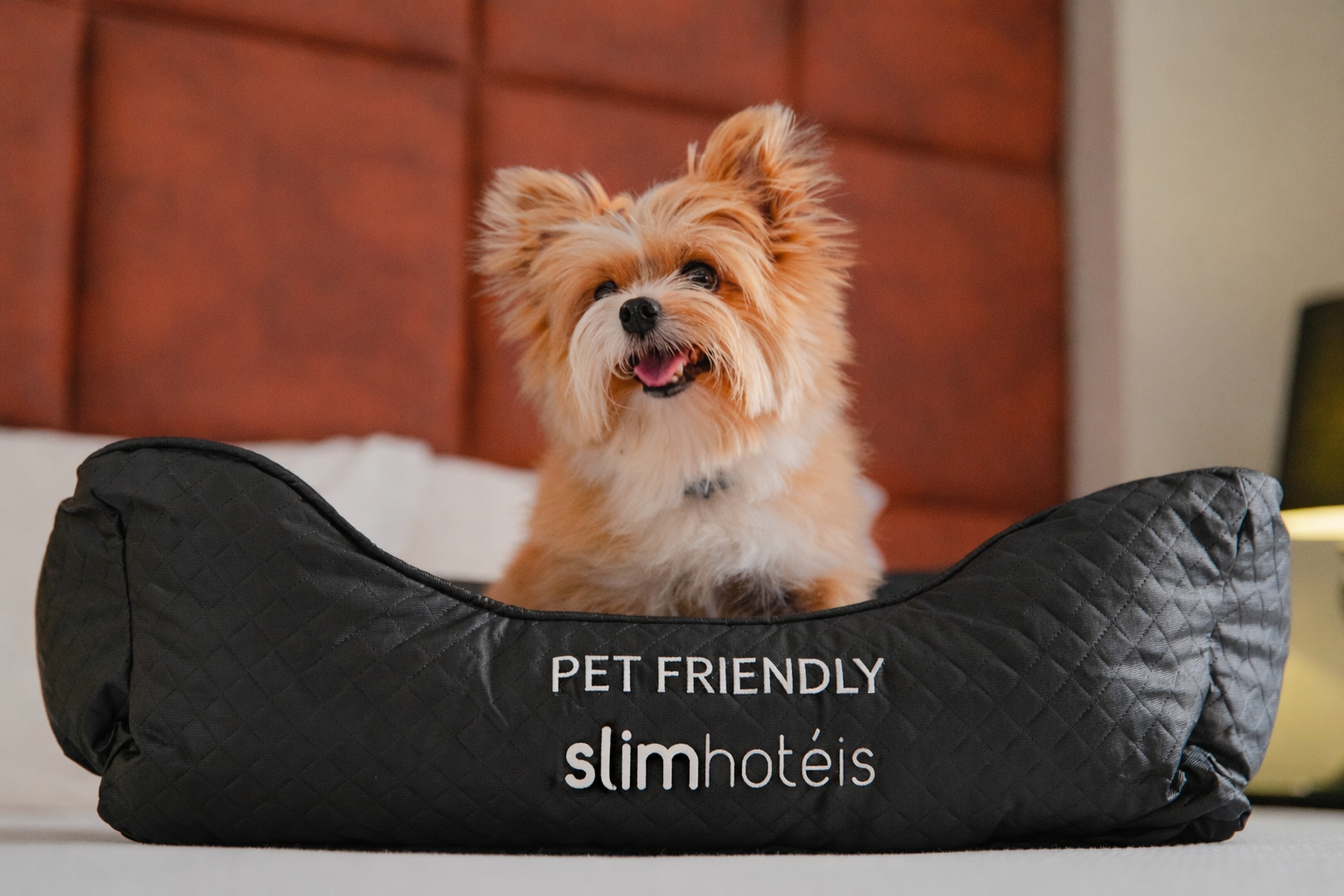 Lazer - Slim Hotel Neo São Bernardo do Campo