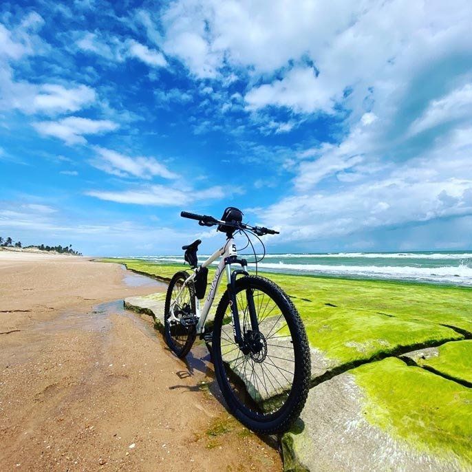 Passeios - Hotel Boutique & Spa Ponta de Inhambupe by Slaviero Hotéis