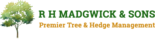 RH Madgwick & Sons logo