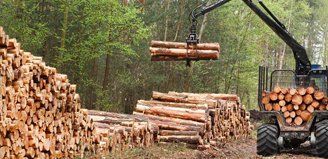Recycling and removal of timber