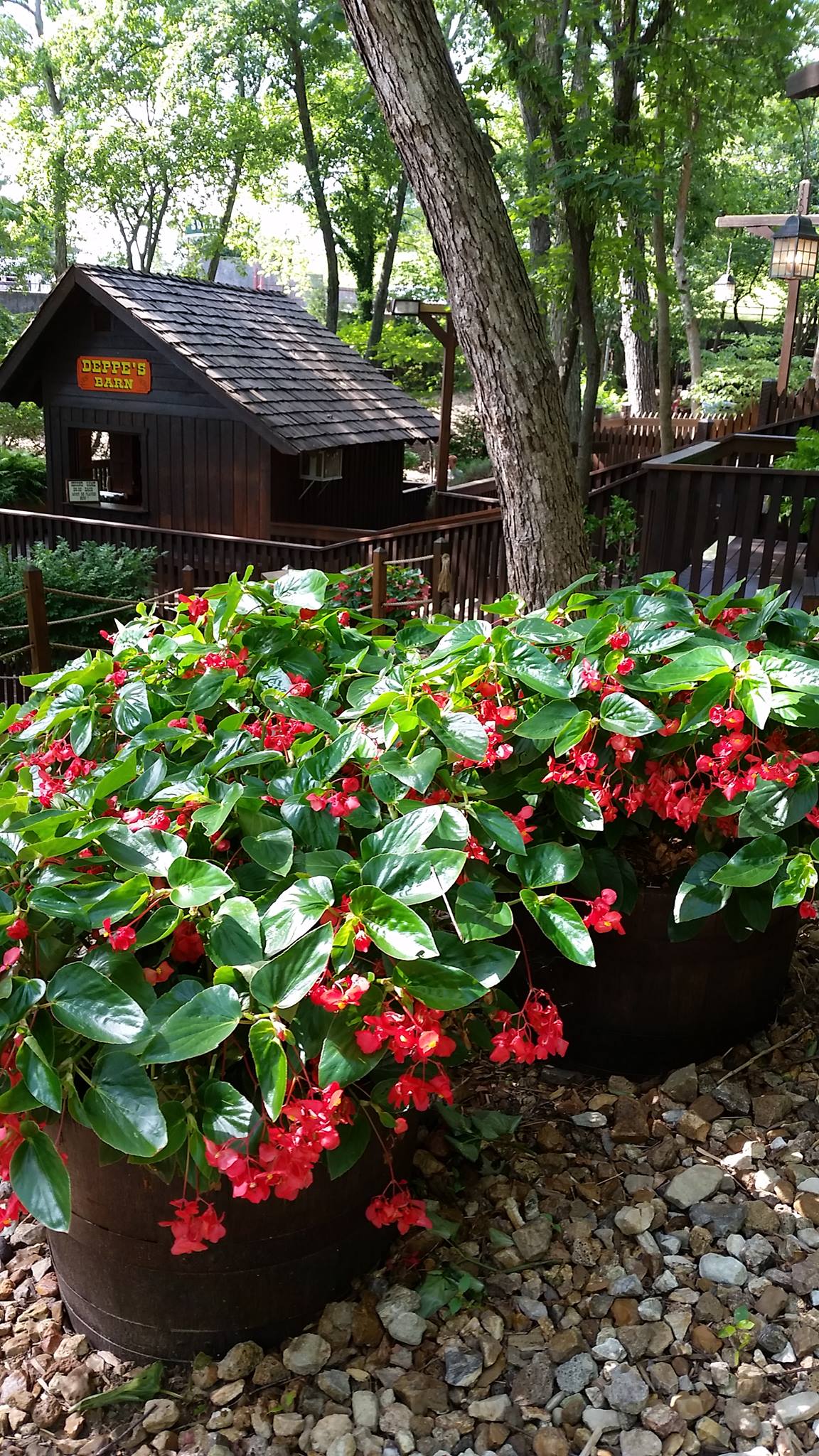 Sugar Creek Mini Golf 