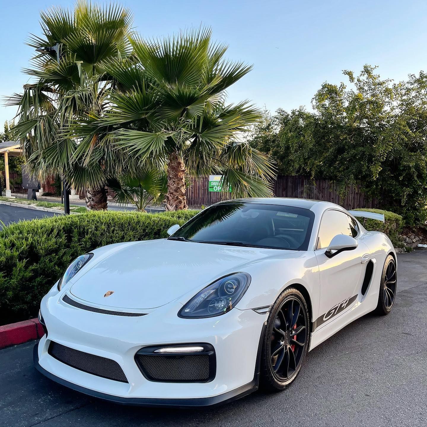 A white porsche boxster gt4 is parked in a parking lot next to palm trees.