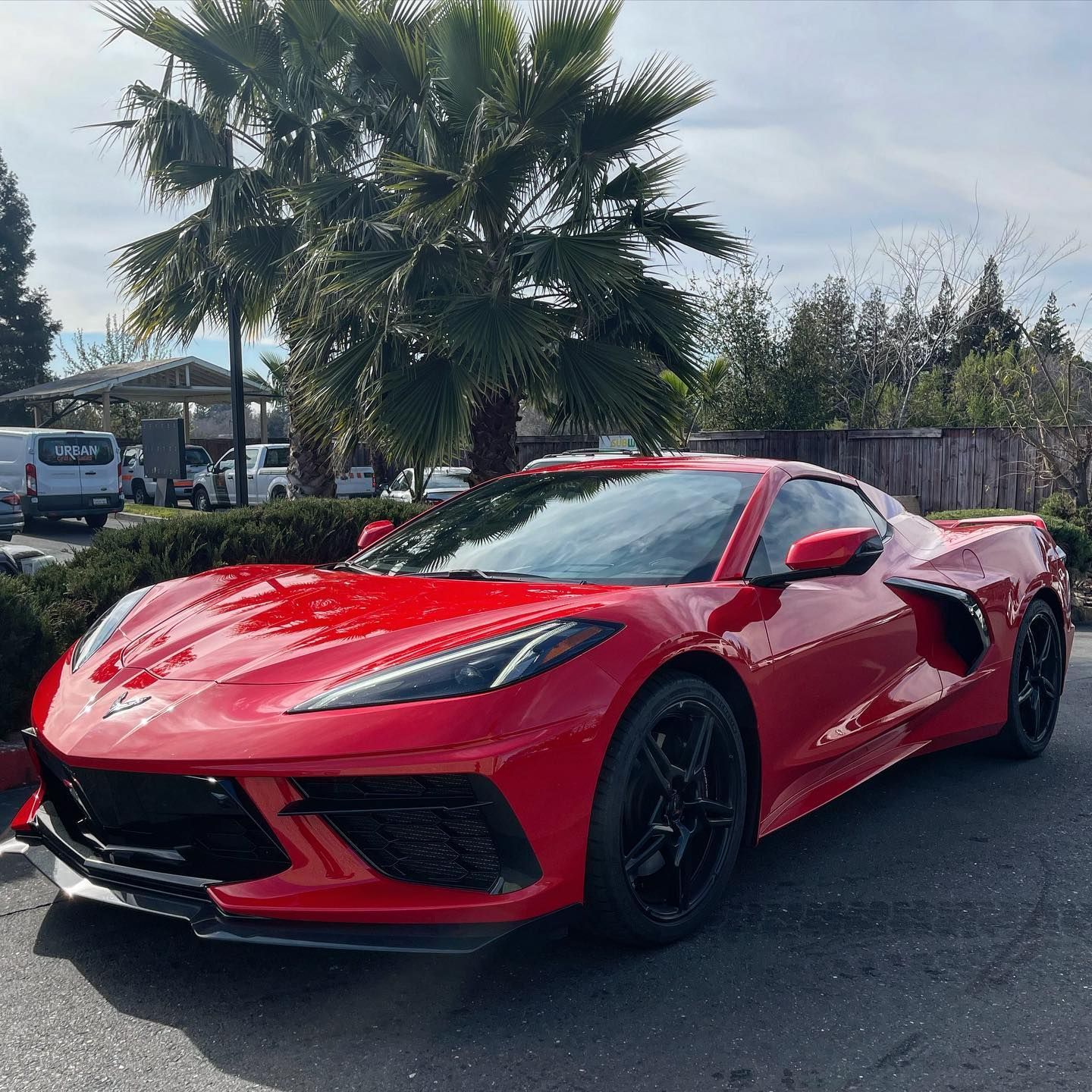A red corvette is parked in a parking lot with palm trees in the background.