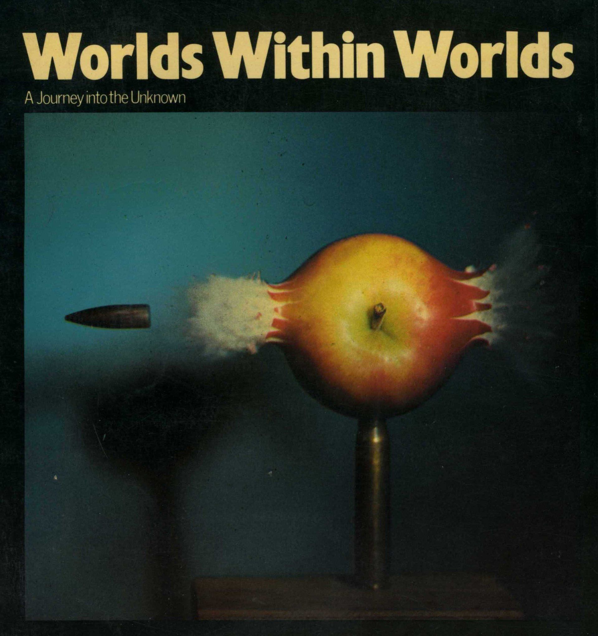 Worlds Within Worlds