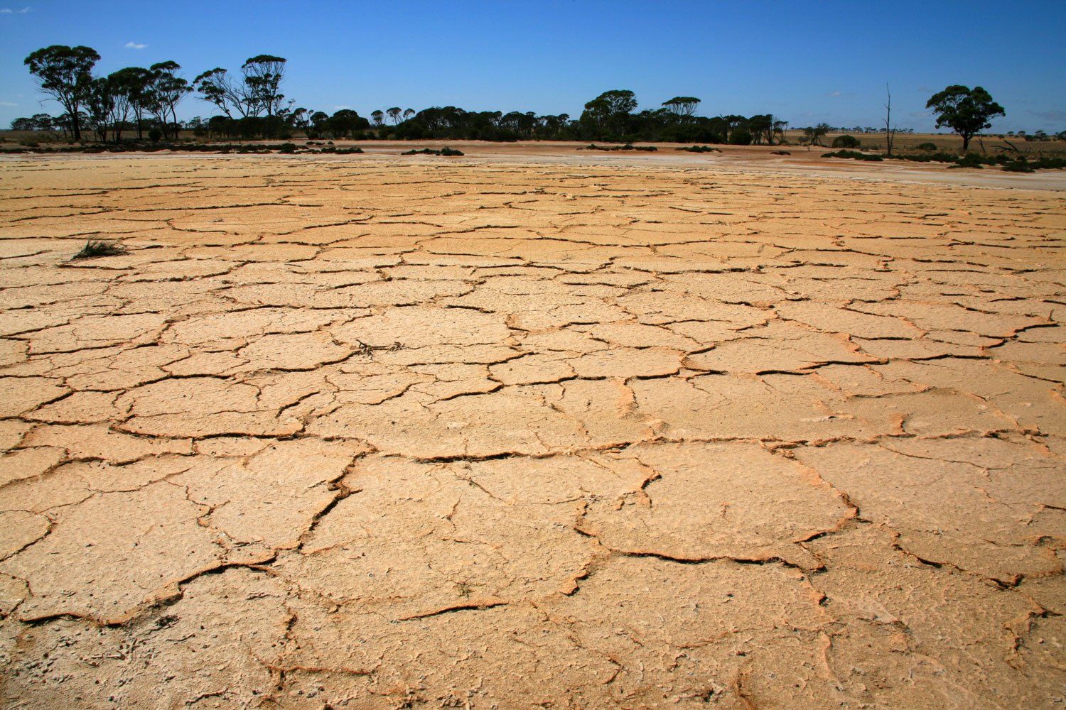 Cracking the soil debate