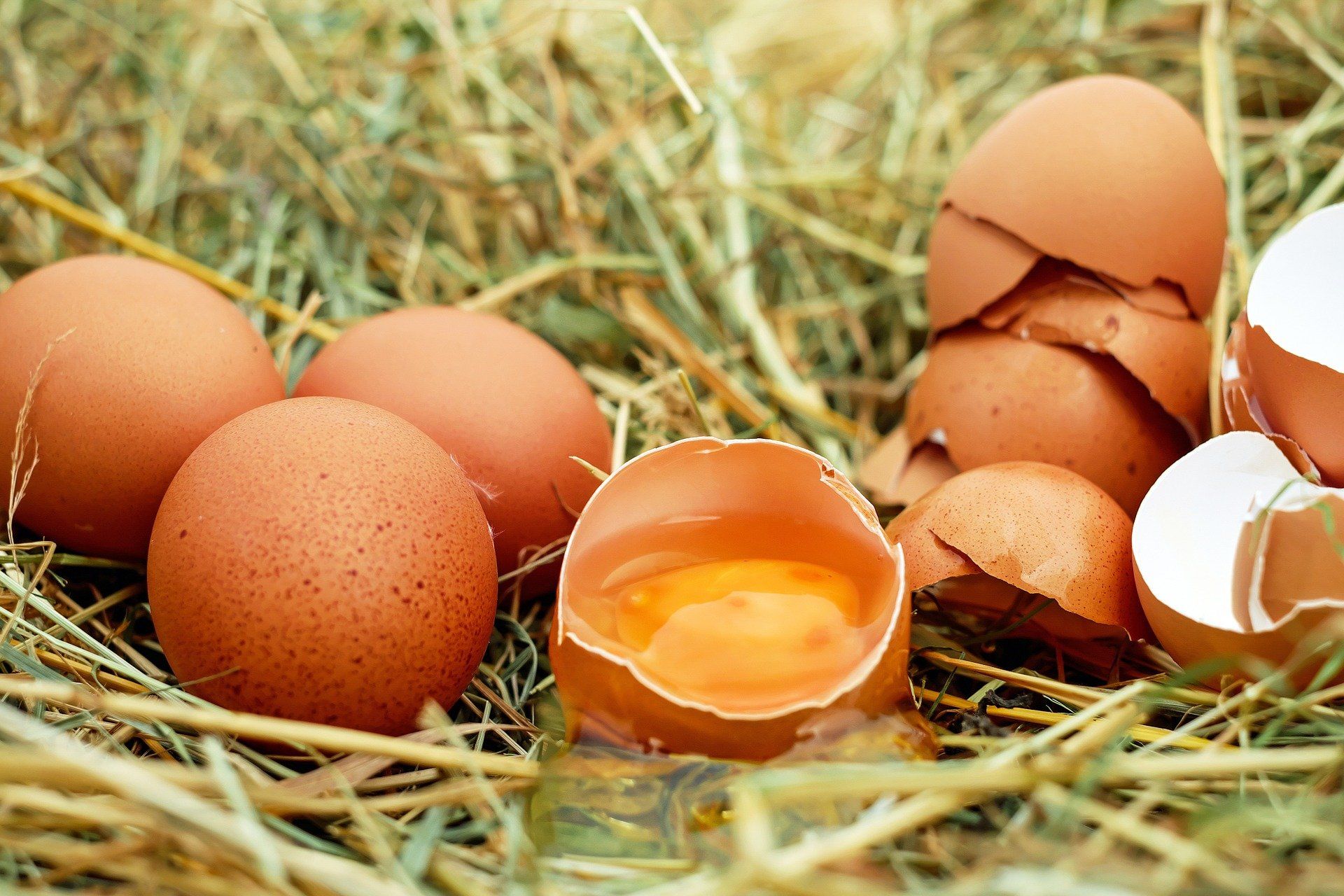 Egg recall over salmonella contamination fears