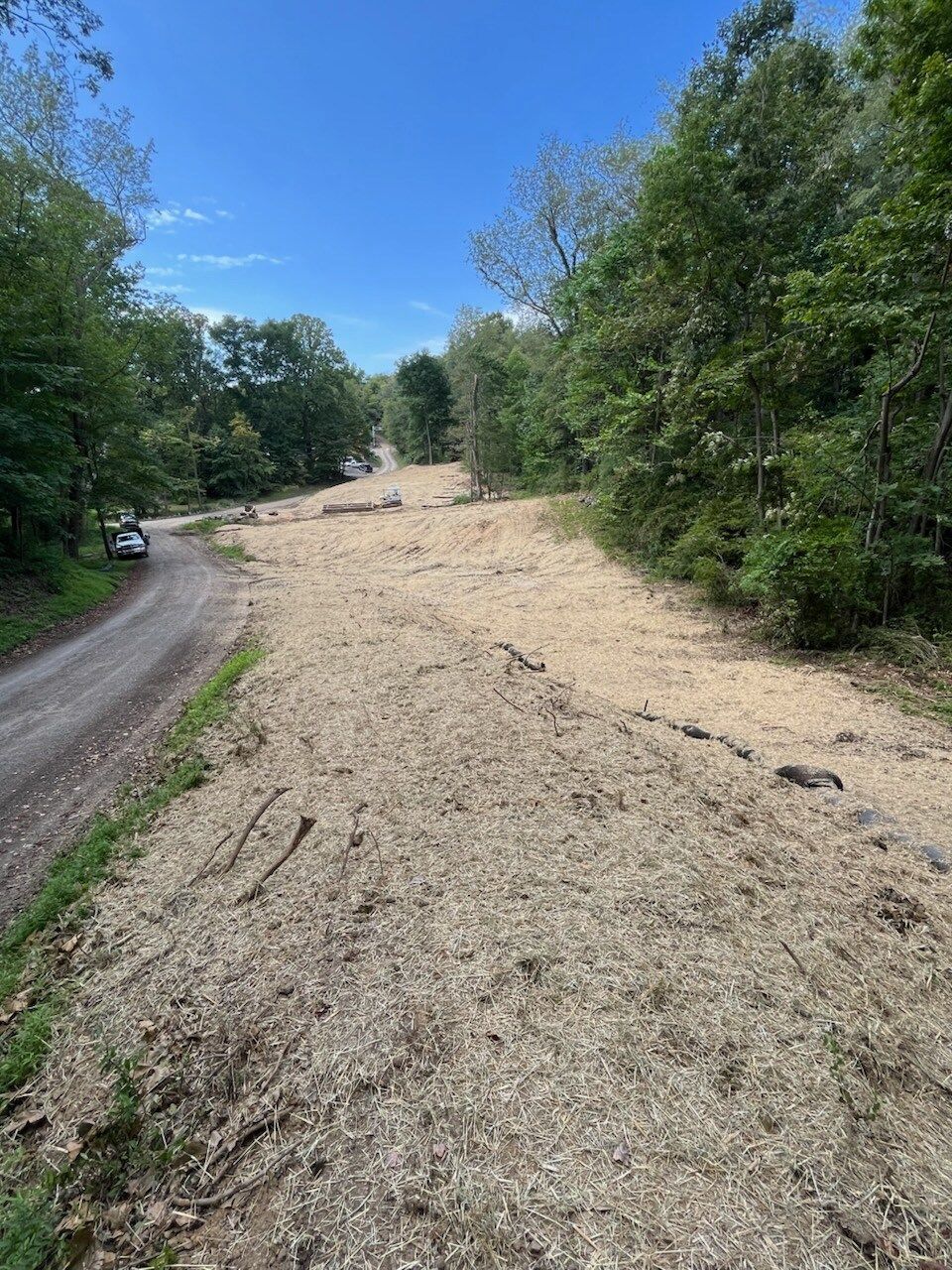 Dirt road leads to a cleared area, covered in mulch, surrounded by trees under a blue sky.