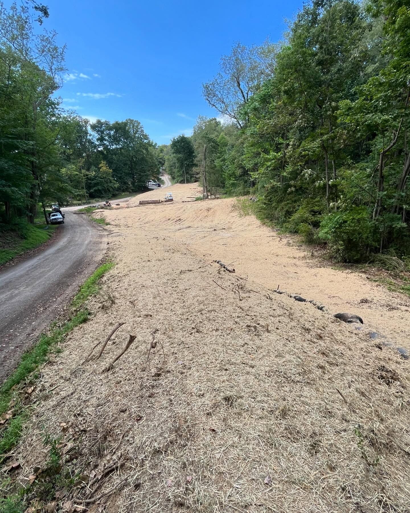 A dirt road going through a forest with trees on both sides.