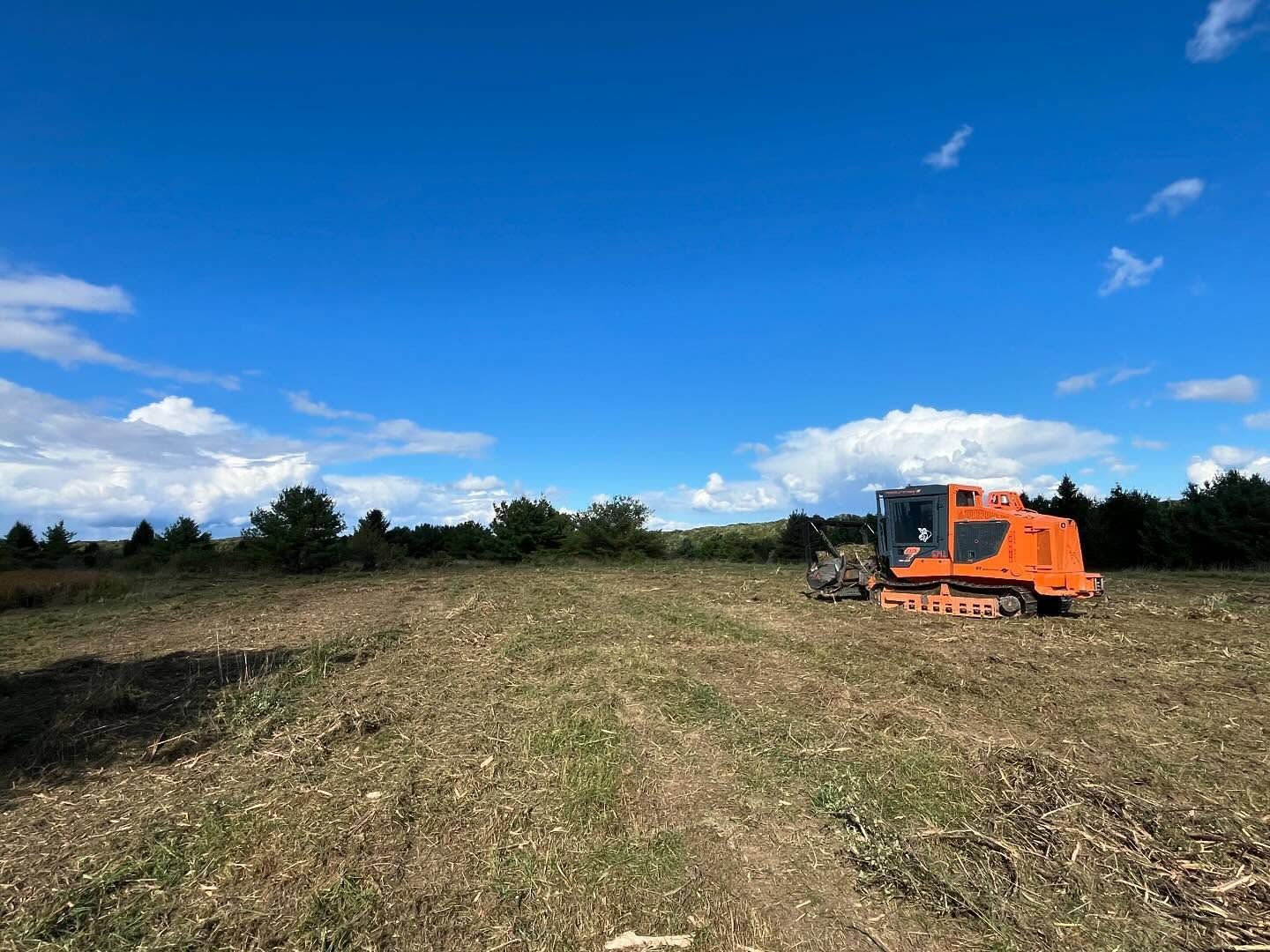 An orange bulldozer is sitting in the middle of a field.