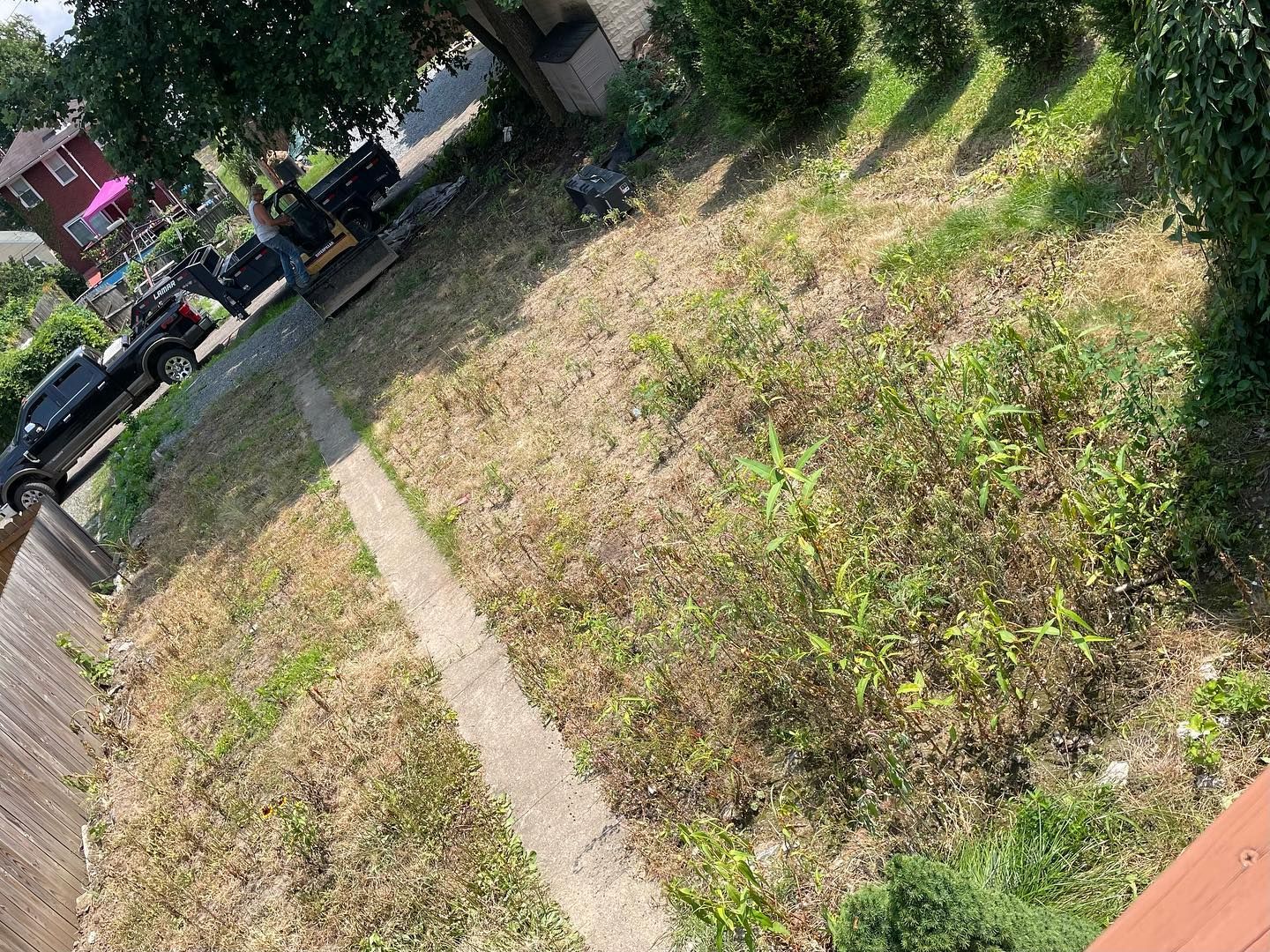 A lot of grass is growing on the side of a road.