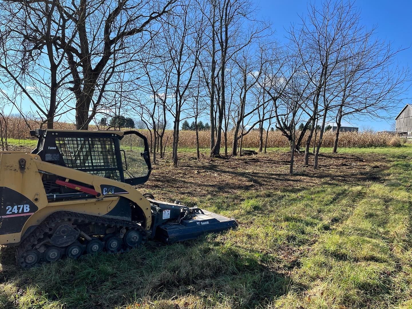 A bulldozer is cutting grass in a field with trees in the background.