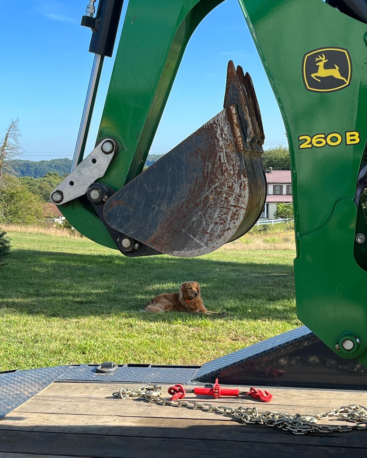 A dog is laying in the grass next to a green john deere tractor.
