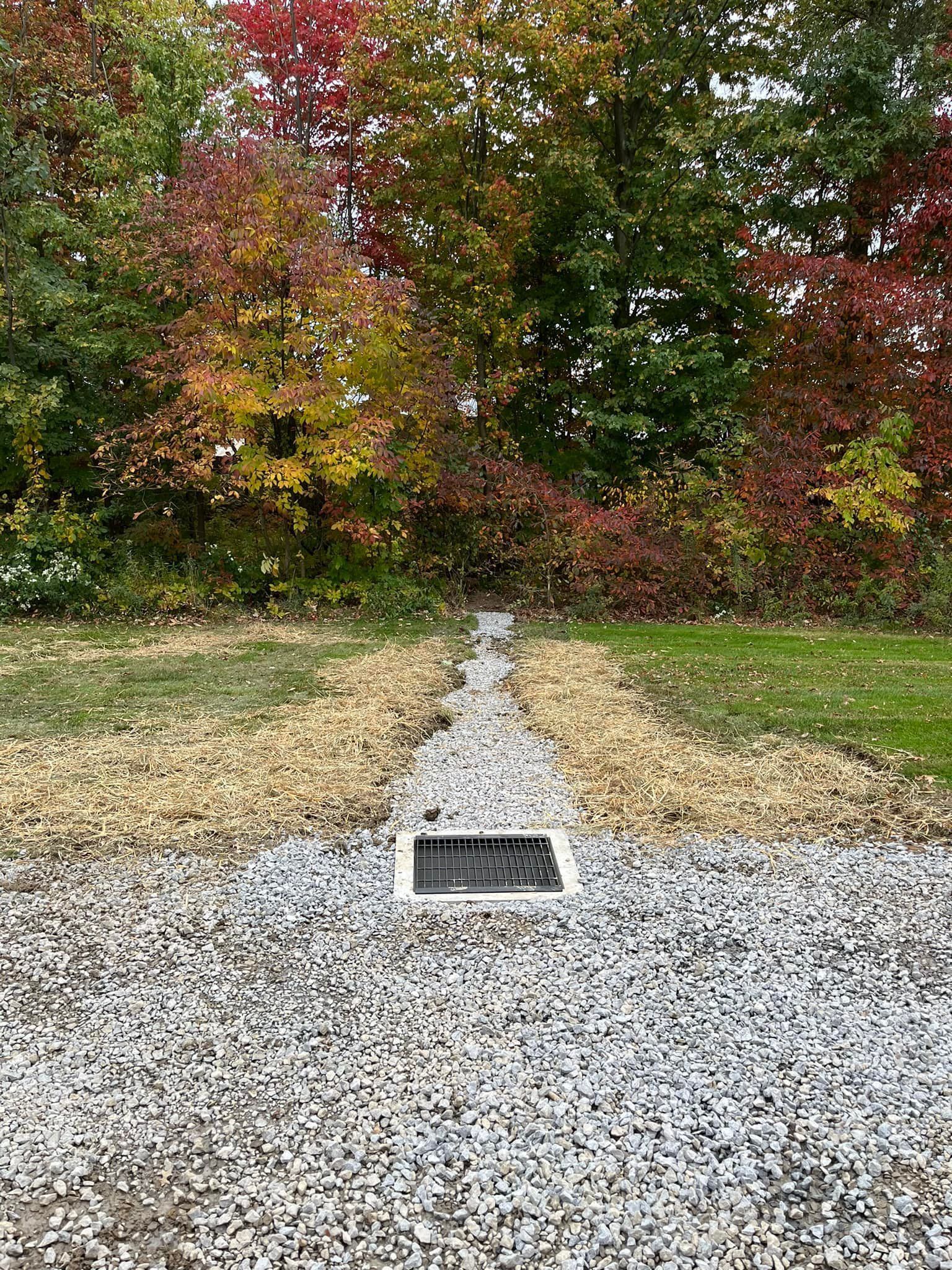 A gravel path going through a field with trees in the background.