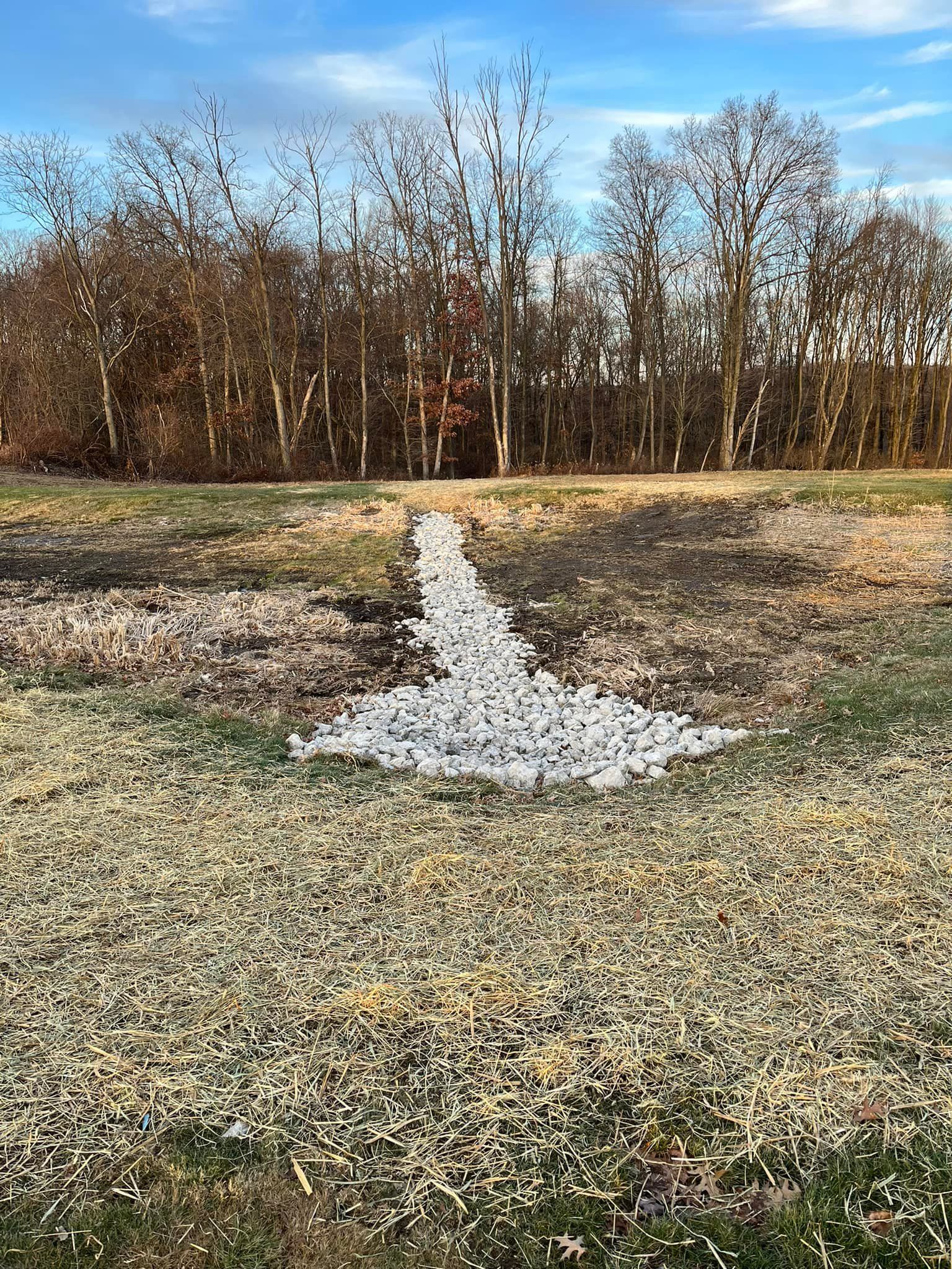 A path in the middle of a field with trees in the background.