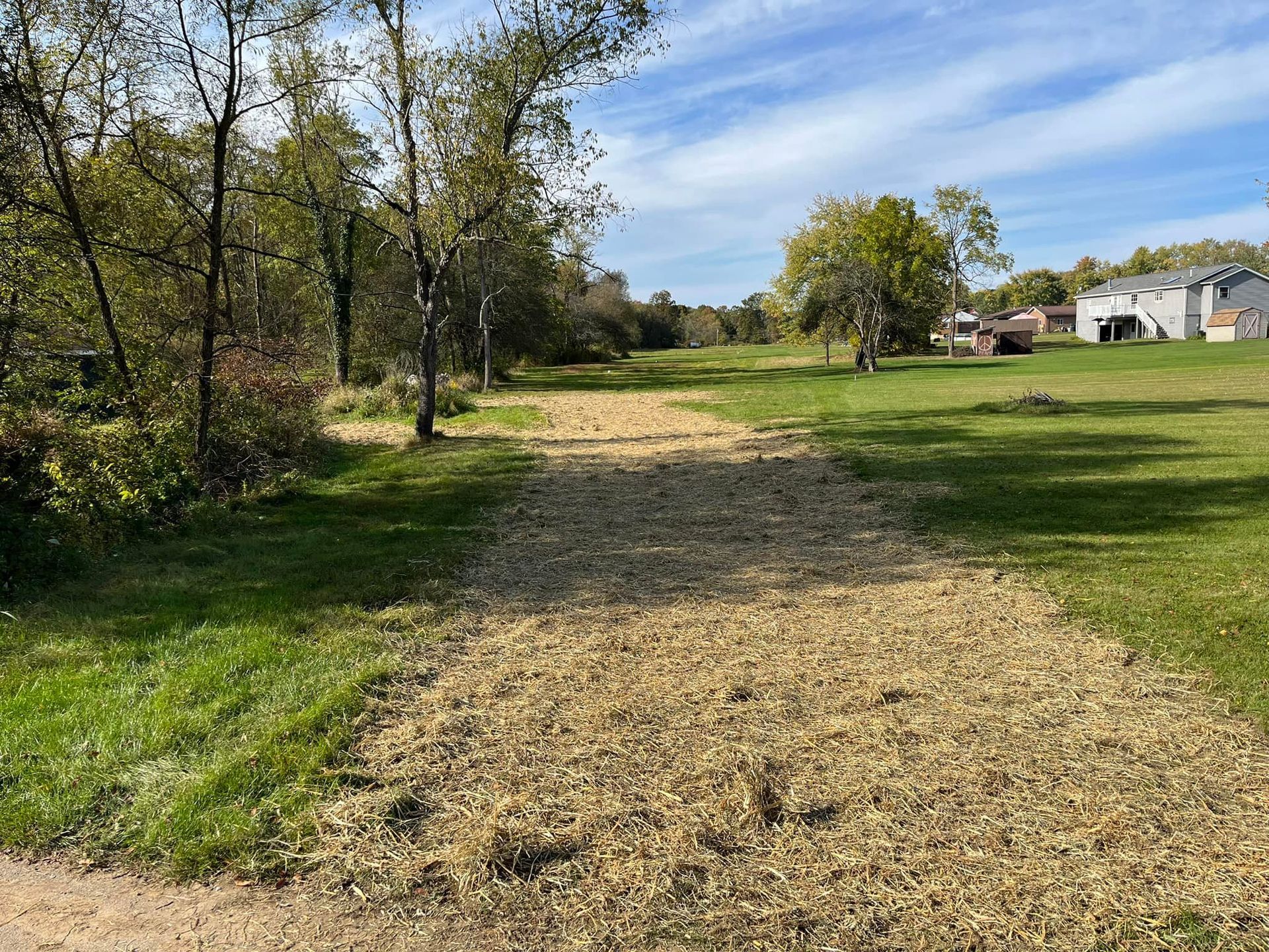 A dirt road going through a grassy field with a house in the background.