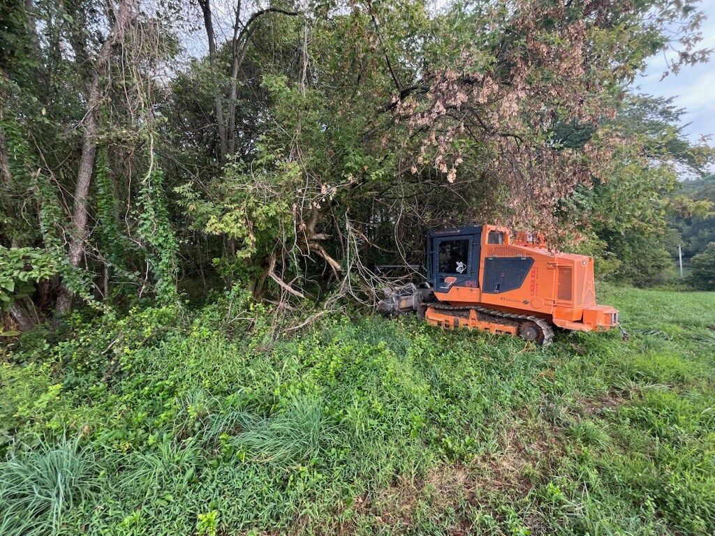 An orange, tracked forestry mulcher clears vegetation in a grassy area near trees.