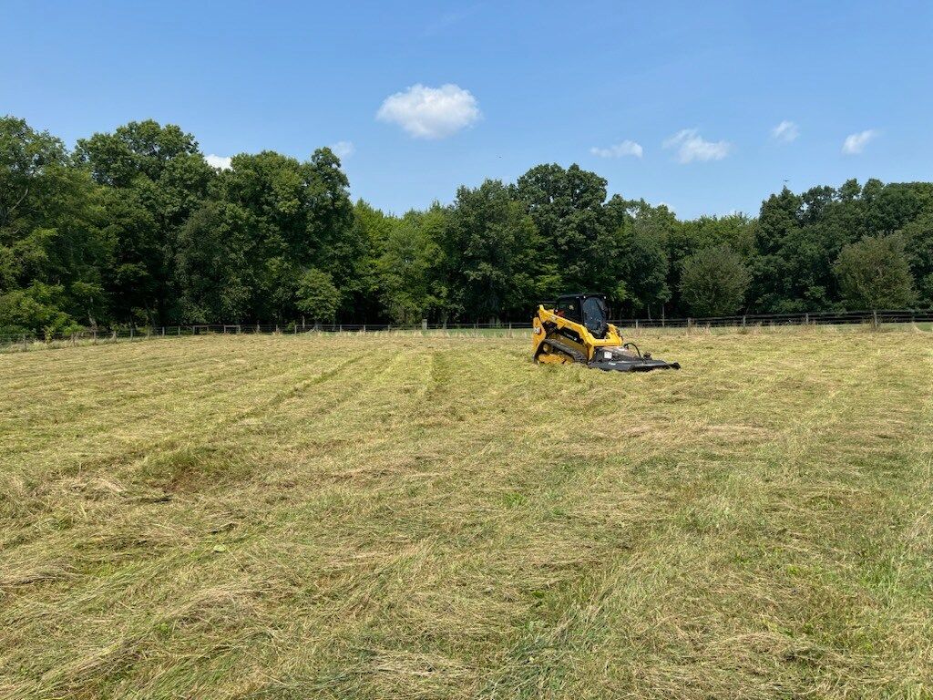 Yellow skid steer mowing a field on a sunny day, with trees in the background.