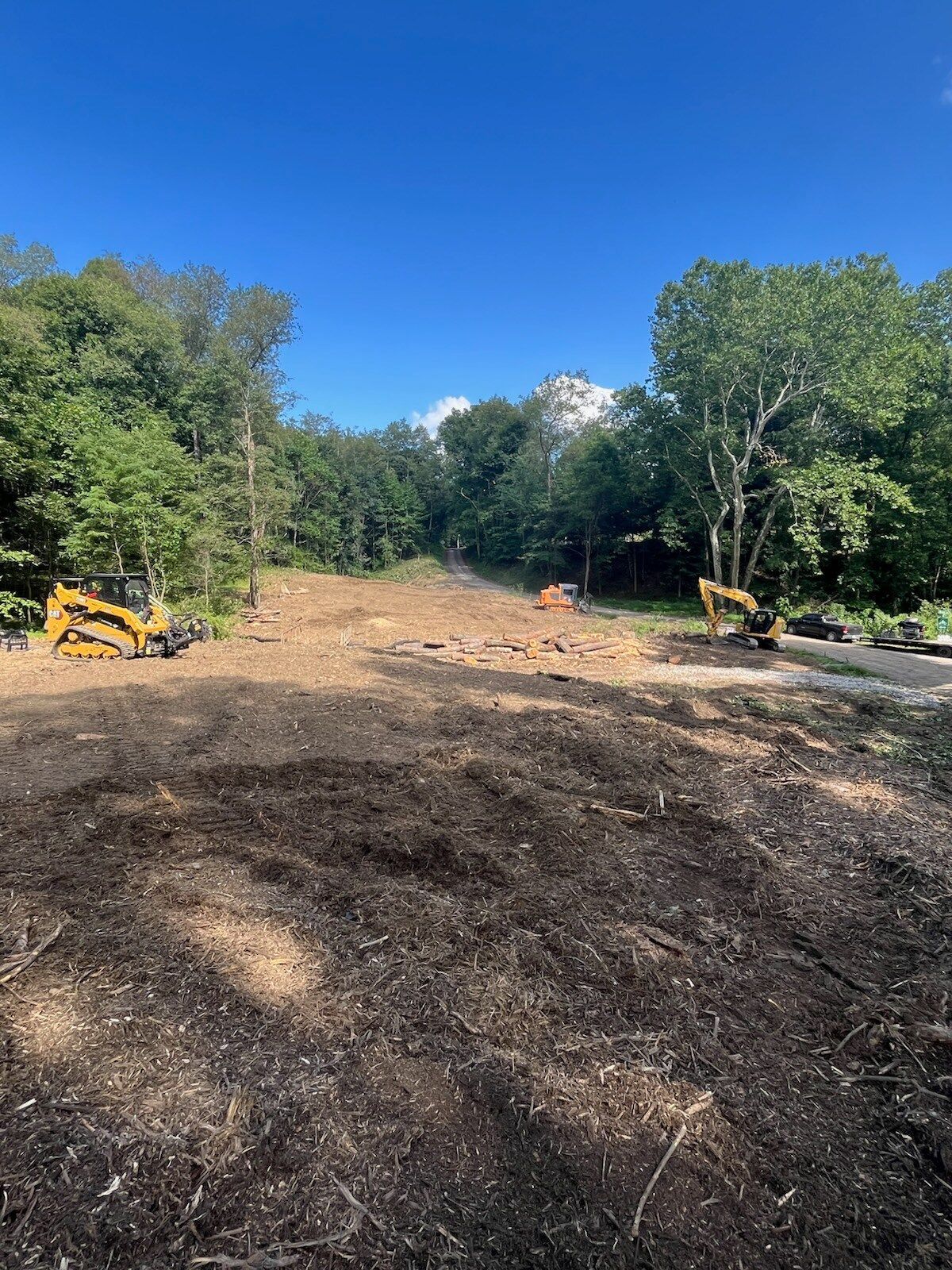 Cleared land with two yellow excavators near edge of forest under a blue sky.