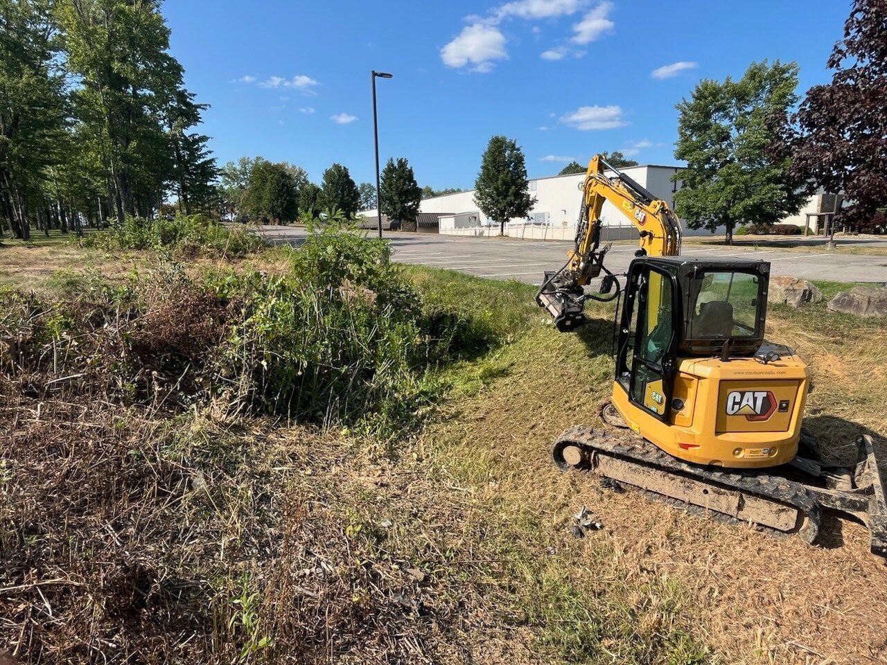 Yellow excavator clearing overgrown vegetation, sunny day.