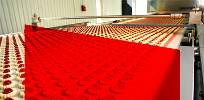 Rows of cookies on a conveyor belt in a factory. Red cover obstructs view.