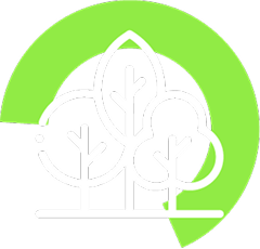 Outline of trees inside a partial green circle.