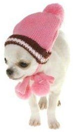 Chihuahua Heat Cycle | Female Owner Information - PetChiDog